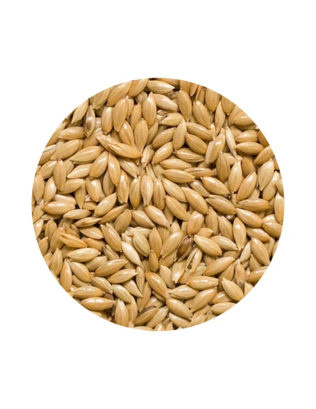 Semilla de la salud JARAD ACTIVE para todo tipo de aves 700 gr.
